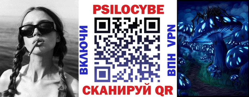 Купить закладки  Агрыз  Галлюциногенные грибы Psilocybe 